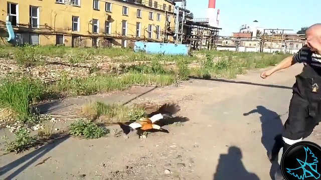 Fail Videoları, Komik Videolar, Kaza Videoları - Haziran 2014 [HD]