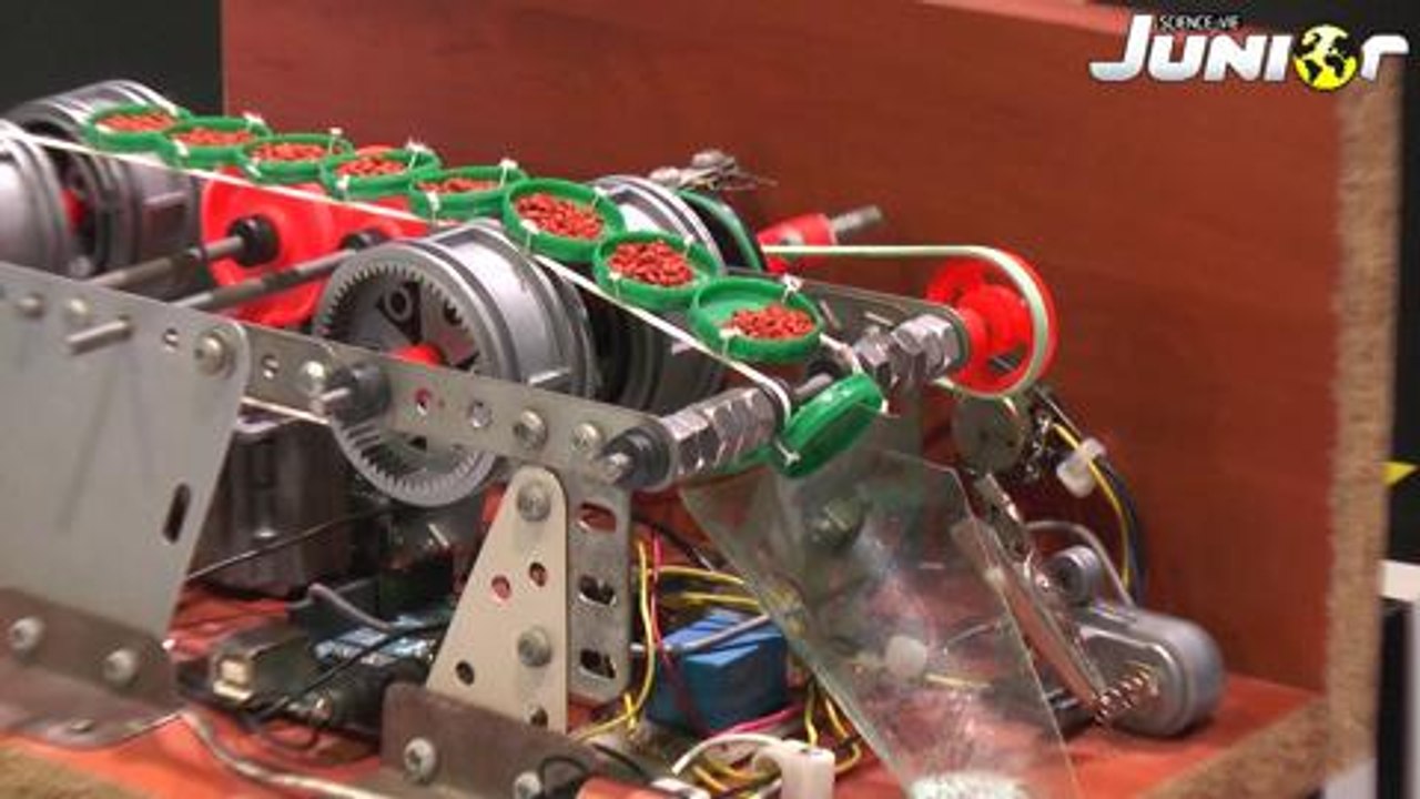 25 trophées Science et vie Junior 2014 Partie2