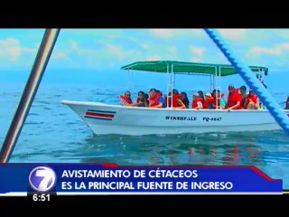 Proyecto de vigilancia pretende cuidar a las ballenas y delfines que visitan Costa Rica