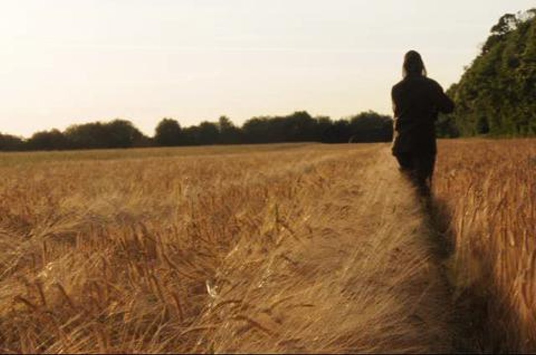 Chasse du brocard dans le Berry