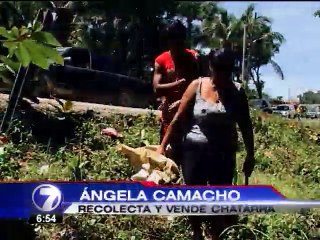 Una mujer utiliza la chatarra como la desesperada forma de mantener a su familia