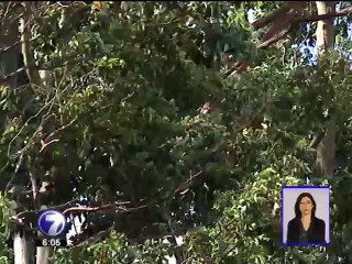 Fuertes vientos estarán presentes en la última semana del año