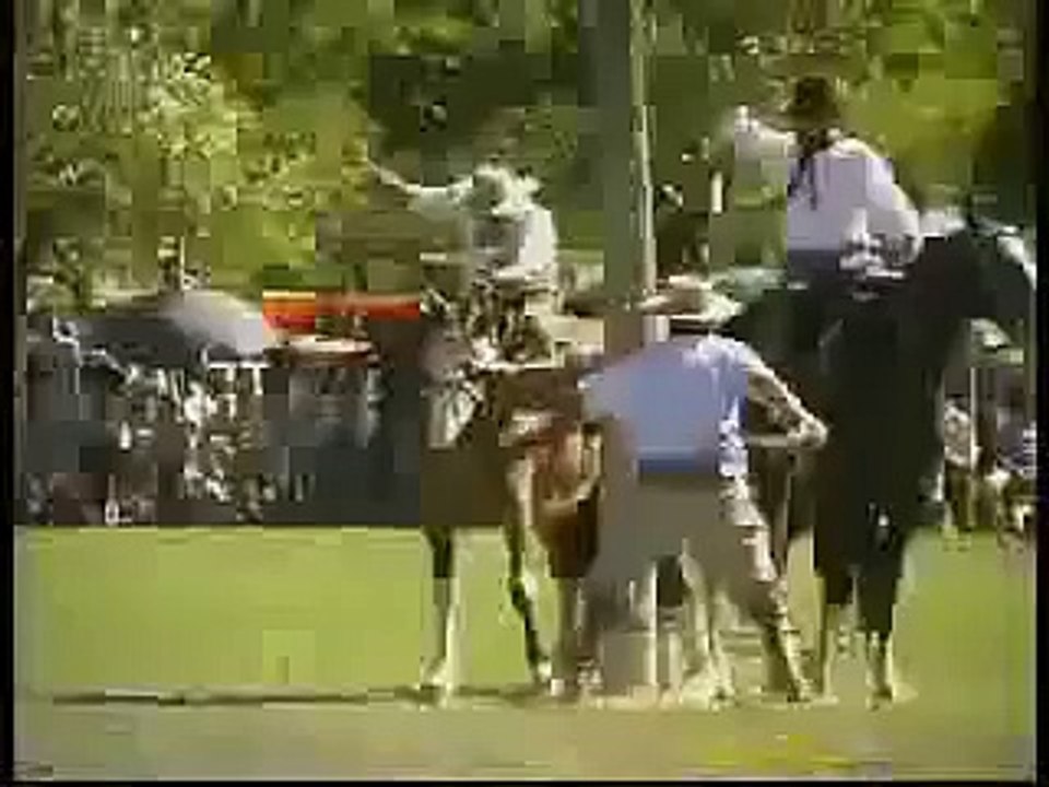 Rodeo with crazy horse