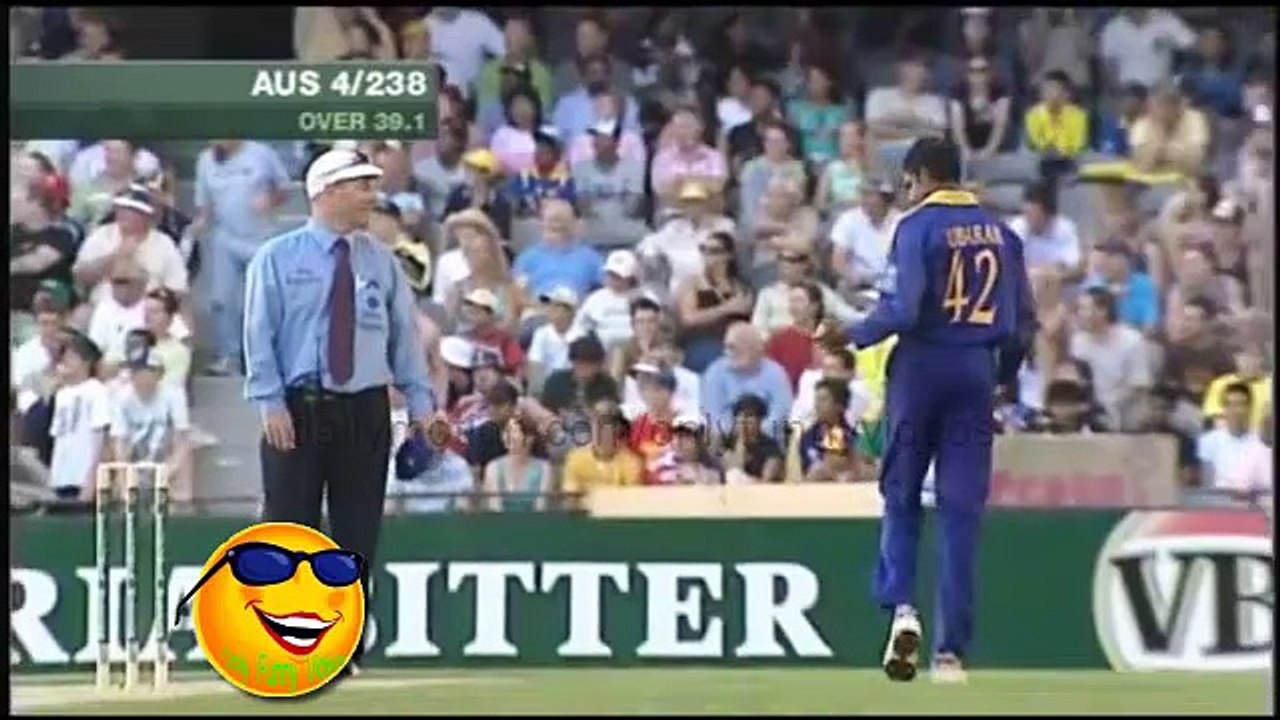 Funniest Cricket Catch Ever