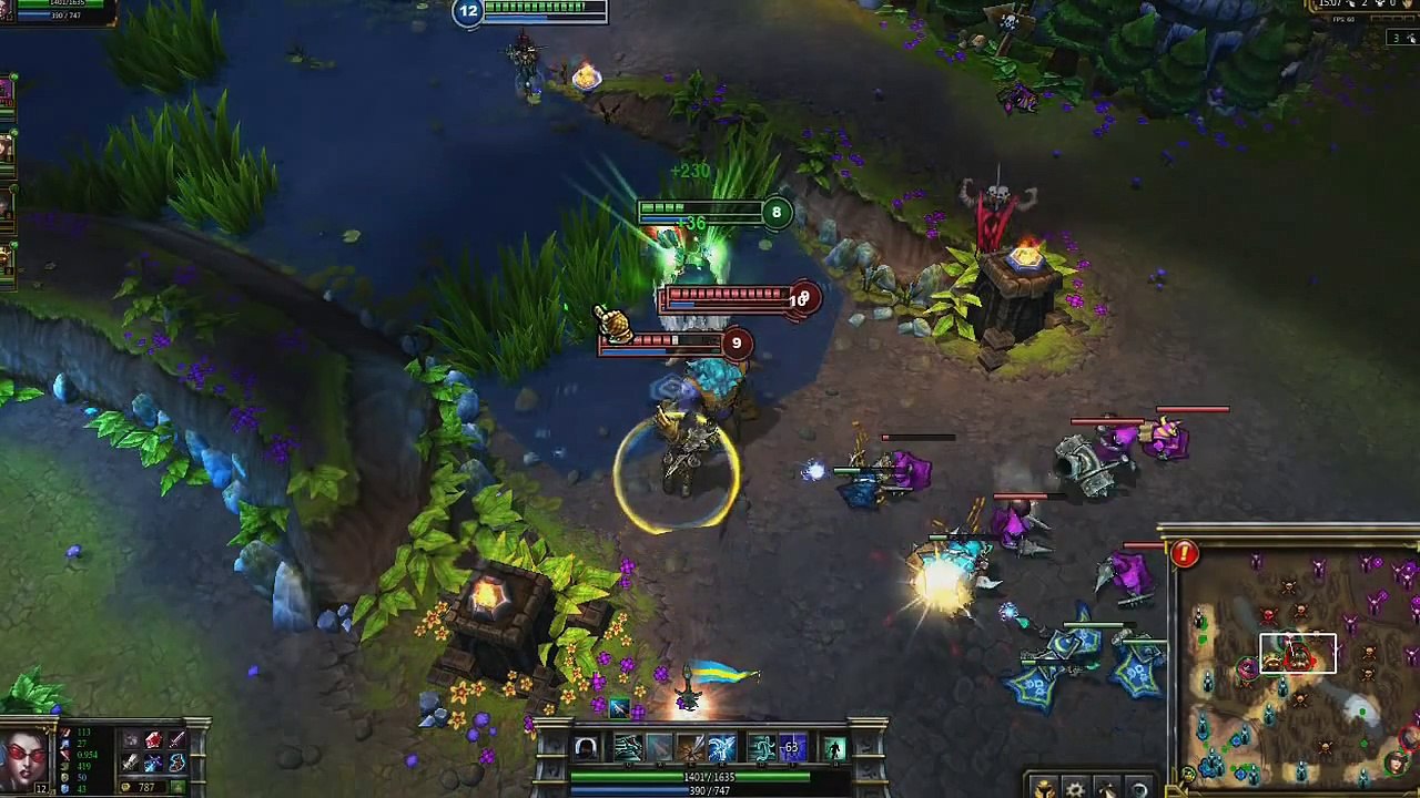 Vayne Champion Spotlight