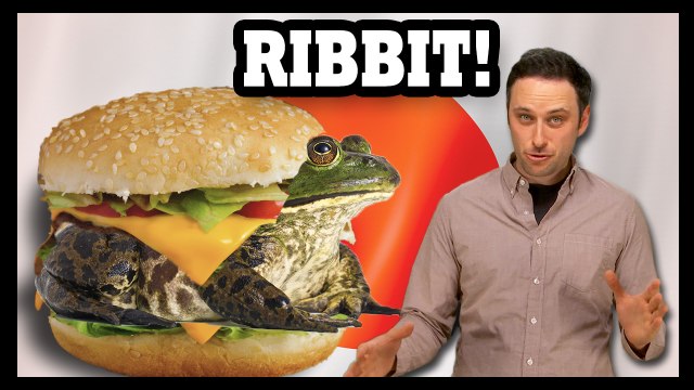 Frog Burgers & Horse Meat Rice Bowls? - Food Feeder