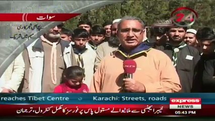 Plantation for green valley swat