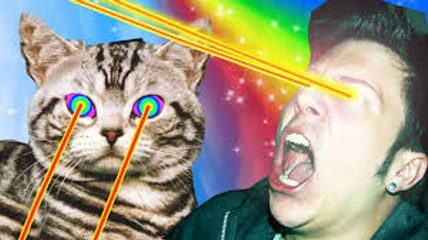 GATITOS TECHNO AWESOME CON EPILEPSIA