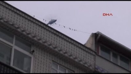 Gazi Mahallesi'nde Şafak Operasyonu