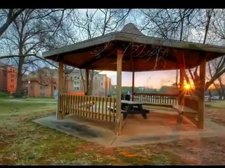 My Shed Plans Download Software