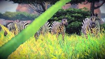 Cabela's African Adventure - Official Launch Trailer