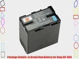 DSTE? BP-U60 Rechargeable Li-ion Battery for Sony PMW-100 PMW-150P PMW-160 MW-200 PMW-EX1 PMW-EX1R