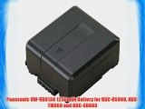 Panasonic VW-VBN130 1250mAh Battery for HDC-HS900 HDC-TM900 and HDC-SD800