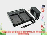 Sony BC-U2 Replacement Dual Channel Battery Charger with LCD Display for BP-U30 BP-U60 and