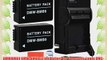 Pack Of 2 DMW-BMB9 Batteries And battery Charger for Panasonic Lumix DMC-FZ40K DMC-FZ45K DMC-FZ47K
