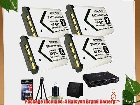 Four Halcyon 1800 mAH Lithium Ion Replacement NP-BX1 Battery Memory Card Wallet Multi Card
