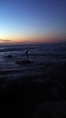 Tailor Fishing Kalbarri