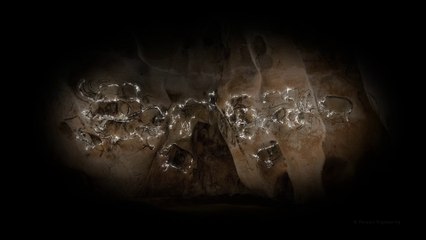 Caverne du Pont d'Arc (45s): rendez-vous le 25 avril...