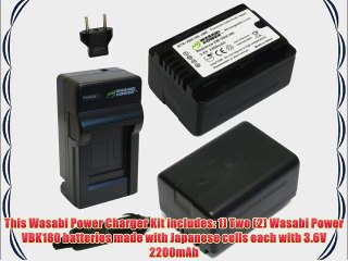 Wasabi Power Battery (2-Pack) and Charger for Panasonic VW-VBL090 VW-VBK180 and Panasonic HC-V10