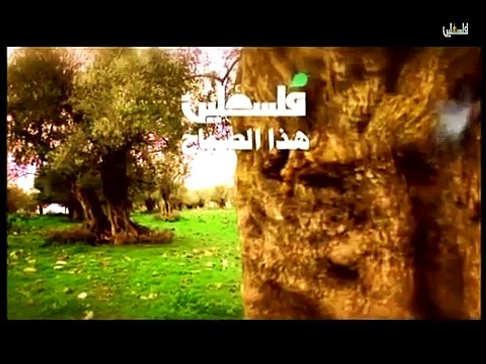 هذا الصباح الثلاثاء 24-3-2015ج1