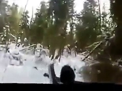 Wild boar hunting with a dog. Охота на кабана с собакой.