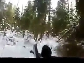 Wild boar hunting with a dog. Охота на кабана с собакой.