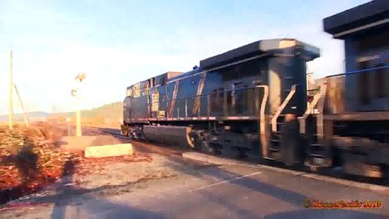 Wild Boar Hunting,Wildsau Jagd 2013