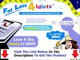Fat Loss 4 Idiots Book   Fat Loss 4 Idiots