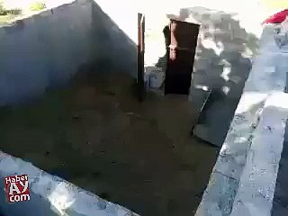 FUNY AMZING VIDEOS (11)