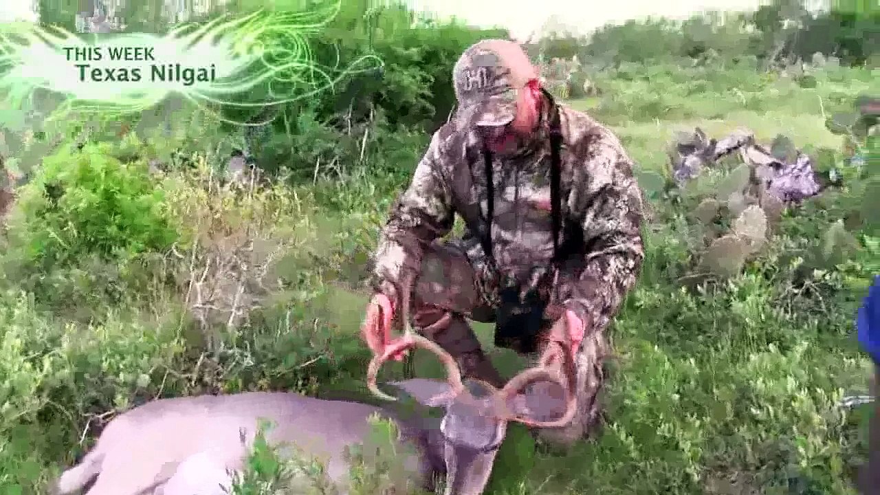 Michael Waddells Bone Collector (S7) - Texas Nilgai, Deer, Rabbit, Javelina Hunting (Ep.