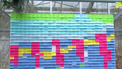 METAMORPHOSE - FELIX HEINRICH ARCHITECTURE ARTS INTERVENTION 2015 in Sayn - a project in cooperation with Garten der Schmetterlinge Schloss Sayn