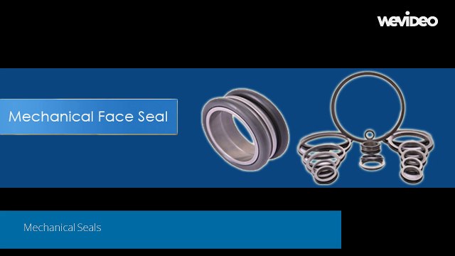 What are Mechanical Seals?