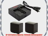 Kapaxen Two Intelligent Batteries   Dual Channel Charger for Canon BP-820 and VIXIA HF G30