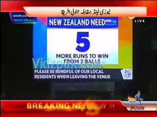 نیوزی لینڈ نے ساوتھ افریقہ کو ہرا کر پہلی بار ورلڈ کپففائنل میں جگہ بنا  new Zealand win لی