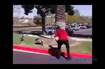 Hayvanların insanlara karşı nihai intikam var!