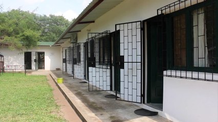 Mozambique : des rats dressés pour détecter l'odeur de tuberculose