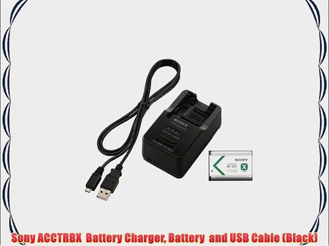 Sony ACCTRBX Battery Charger Battery and USB Cable (Black)
