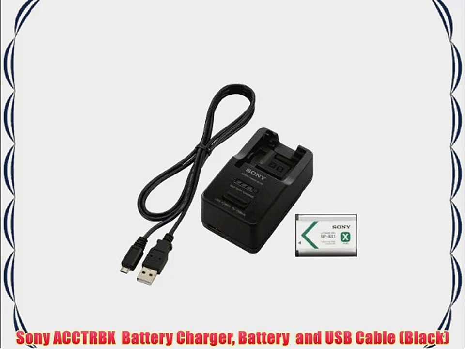 Sony ACCTRBX  Battery Charger Battery  and USB Cable (Black)
