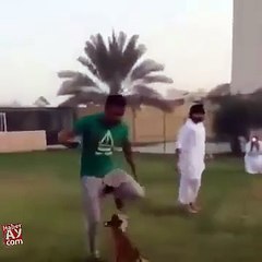 FUNY AMZING VIDEOS (31)