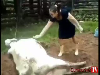 Hayvan sevgisi kötü bitti