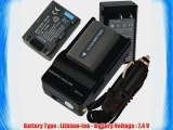 2 Battery Charger for Sony CAMCORDER NP-FP50 NP-FP30 NP-FP70 NP-FP90   travel charger