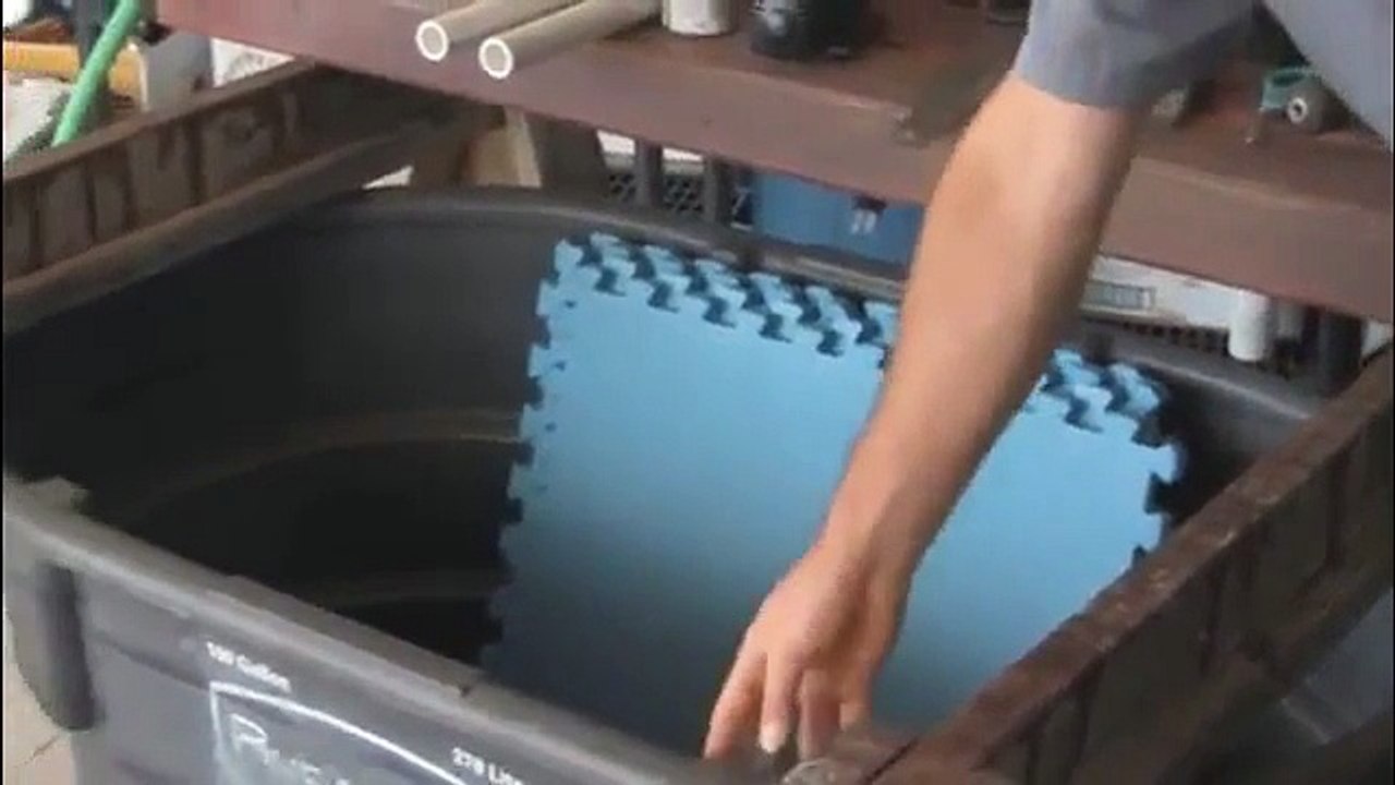 Aquaponics 4 You The Best Aquaponics System Setup And Beginning Aquaponics At Home