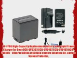 NP-FP90 High-Capacity Replacement Battery with Rapid Travel Charger for Sony DCR-DVD305 DCR-DVD403
