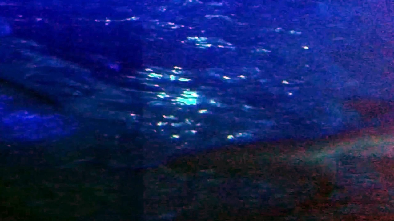 Underwater World Part 6