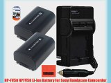 Pack of 2 NP-FV50 Batteries for Sony HDR-PJ200 HDR-PJ260V HDR-PJ580V Handycam Camcorder   More!!