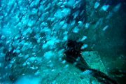 Scuba diving Phuket