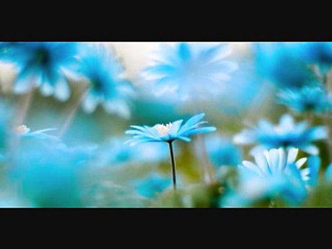 45. Pareshaani K Baad Allah Ki Rehmatain Barh Jati Hain/islahi bayanat by hafiz muhammad ibrahim naqshbandi khalifa e majaz peer hafiz muhammad zulfiqar db