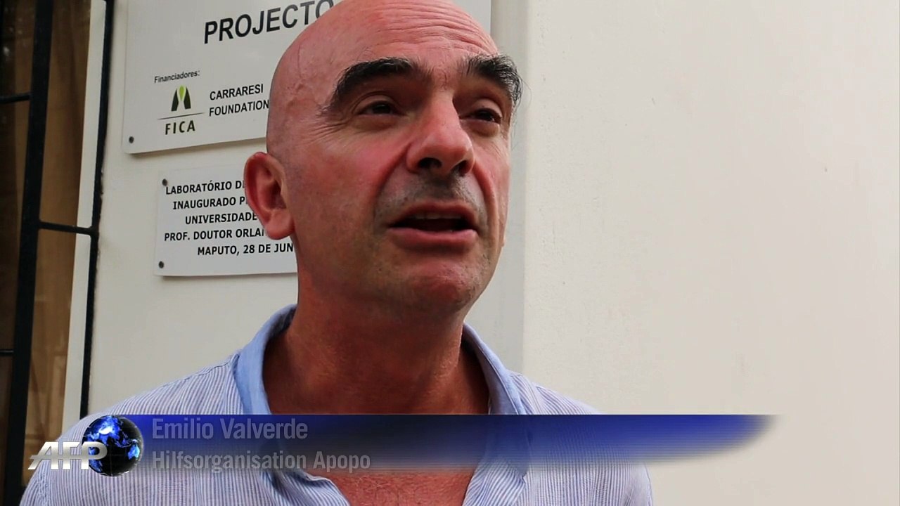 Ratten erschnüffeln Tuberkulose