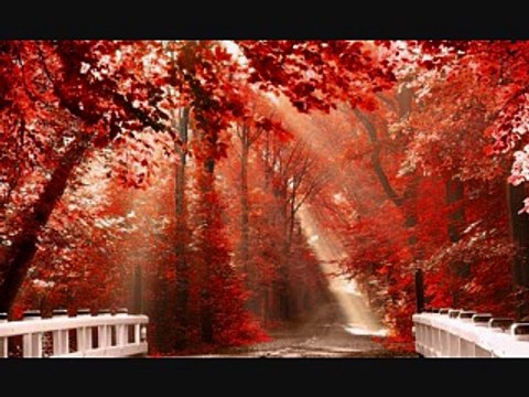 52. Hazrat Aasiya Ki Qurbaani Aur Allah Rab-ul-Izzat Ki Qadardaa/islahi bayanat by hafiz muhammad ibrahim naqshbandi khalifa e majaz peer hafiz muhammad zulfiqar db