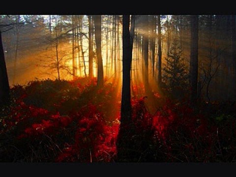 57. Gunaahon Par Toba Na Karna/islahi bayanat by hafiz muhammad ibrahim naqshbandi khalifa e majaz peer hafiz muhammad zulfiqar db